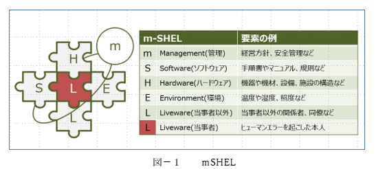 Ｈ／Ｅの原因をm：マネジメント、S：ソフトウエアー、H：ハードウエアー、E：環境、L：人の5つ観点